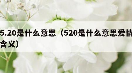5.20是什么意思（520是什么意思爱情含义）