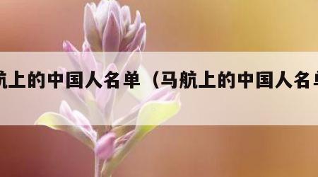 马航上的中国人名单（马航上的中国人名单照片）