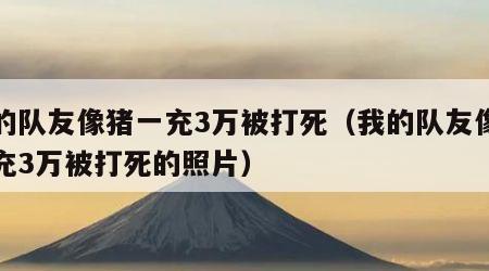 我的队友像猪一充3万被打死（我的队友像猪一充3万被打死的照片）