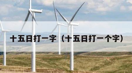 十五日打一字（十五日打一个字）