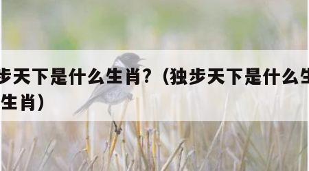 独步天下是什么生肖?（独步天下是什么生肖,指生肖）