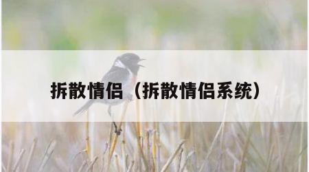 拆散情侣（拆散情侣系统）