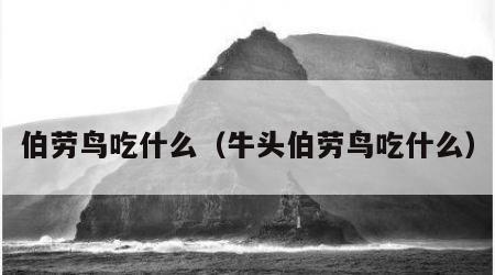 伯劳鸟吃什么（牛头伯劳鸟吃什么）