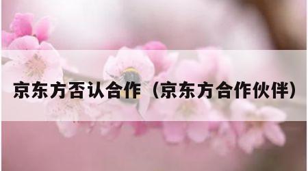京东方否认合作（京东方合作伙伴）