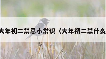 大年初二禁忌小常识（大年初二禁什么）