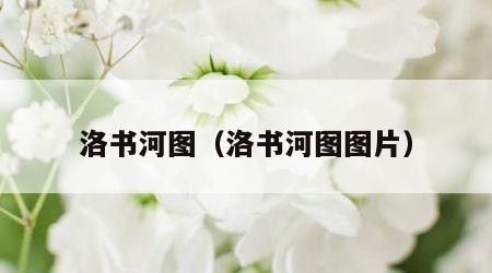 洛书河图（洛书河图图片）