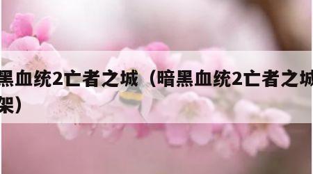 暗黑血统2亡者之城（暗黑血统2亡者之城武器架）