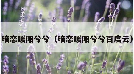 暗恋暖阳兮兮（暗恋暖阳兮兮百度云）