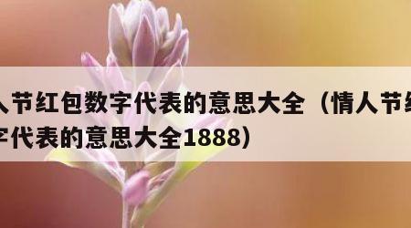 情人节红包数字代表的意思大全（情人节红包数字代表的意思大全1888）