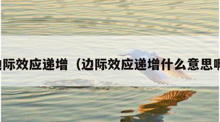 边际效应递增（边际效应递增什么意思啊）