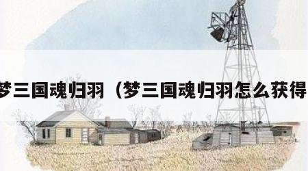 梦三国魂归羽（梦三国魂归羽怎么获得）