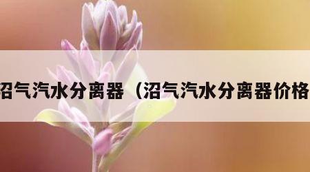 沼气汽水分离器（沼气汽水分离器价格）