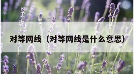 对等网线（对等网线是什么意思）