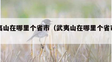 武夷山在哪里个省市（武夷山在哪里个省市面积）
