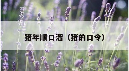 猪年顺口溜（猪的口令）