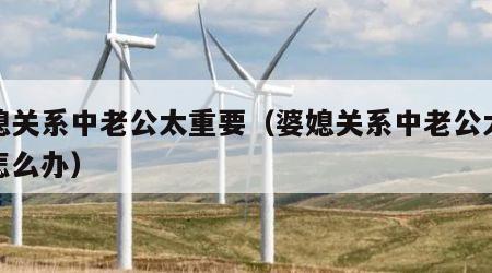 婆媳关系中老公太重要（婆媳关系中老公太重要怎么办）