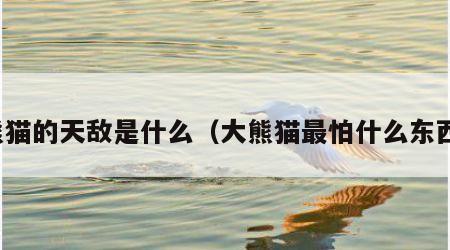 熊猫的天敌是什么（大熊猫最怕什么东西）