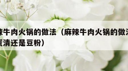 麻辣牛肉火锅的做法（麻辣牛肉火锅的做法先放蛋清还是豆粉）