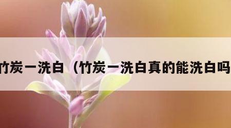 竹炭一洗白（竹炭一洗白真的能洗白吗）