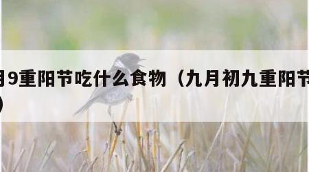 9月9重阳节吃什么食物（九月初九重阳节吃啥）