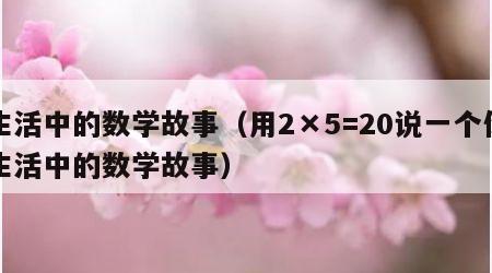 生活中的数学故事（用2×5=20说一个你生活中的数学故事）
