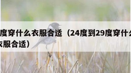 9度穿什么衣服合适（24度到29度穿什么衣服合适）
