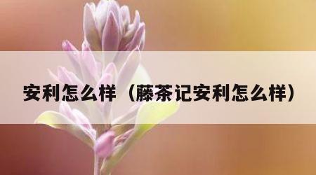 安利怎么样（藤茶记安利怎么样）