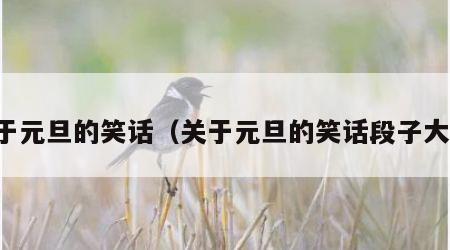 关于元旦的笑话（关于元旦的笑话段子大全）