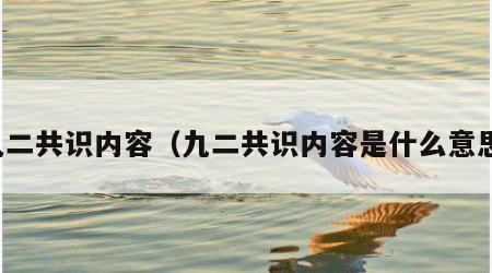 九二共识内容（九二共识内容是什么意思）