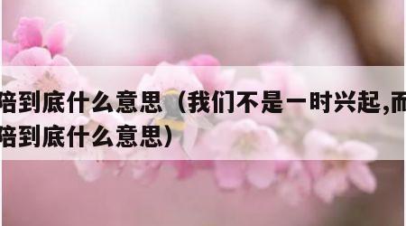 奉陪到底什么意思（我们不是一时兴起,而是奉陪到底什么意思）