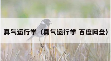 真气运行学（真气运行学 百度网盘）