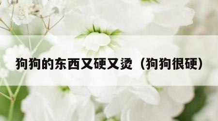 狗狗的东西又硬又烫（狗狗很硬）