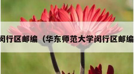 闵行区邮编（华东师范大学闵行区邮编）