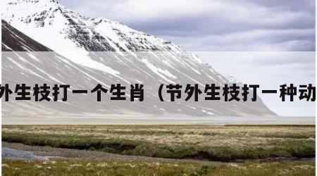 节外生枝打一个生肖（节外生枝打一种动物）