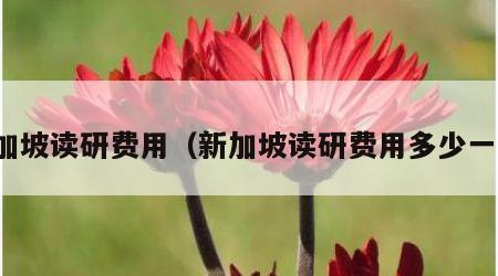 新加坡读研费用（新加坡读研费用多少一年）