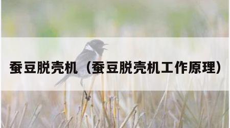 蚕豆脱壳机（蚕豆脱壳机工作原理）