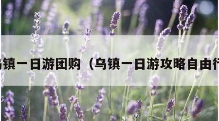 乌镇一日游团购（乌镇一日游攻略自由行）