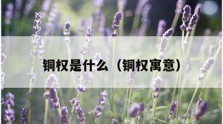 铜权是什么（铜权寓意）