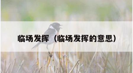 临场发挥（临场发挥的意思）