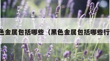 黑色金属包括哪些（黑色金属包括哪些行业）