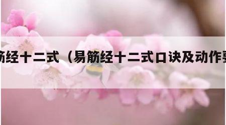 易筋经十二式（易筋经十二式口诀及动作要领）