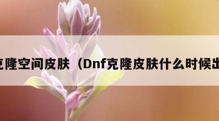 克隆空间皮肤（Dnf克隆皮肤什么时候出）