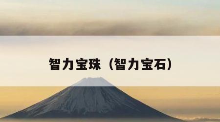 智力宝珠（智力宝石）