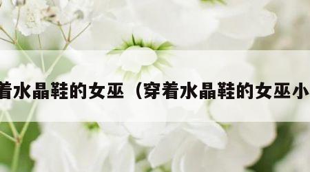 穿着水晶鞋的女巫（穿着水晶鞋的女巫小说）