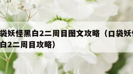 口袋妖怪黑白2二周目图文攻略（口袋妖怪 黑白2二周目攻略）