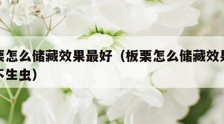 板栗怎么储藏效果最好（板栗怎么储藏效果最好不生虫）