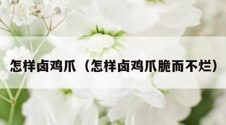 怎样卤鸡爪（怎样卤鸡爪脆而不烂）