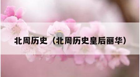 北周历史（北周历史皇后丽华）