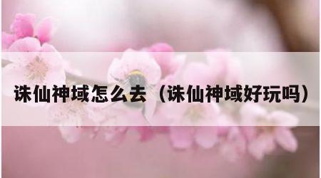 诛仙神域怎么去（诛仙神域好玩吗）