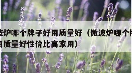 微波炉哪个牌子好用质量好（微波炉哪个牌子好用质量好性价比高家用）